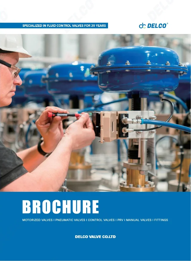 DELCO complete valve catalogue, English edition, cover