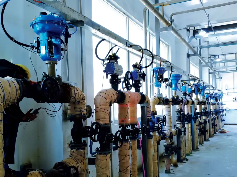 DELCO pneumatic valves installed in an ethylene plant in Antwerp, Belgium